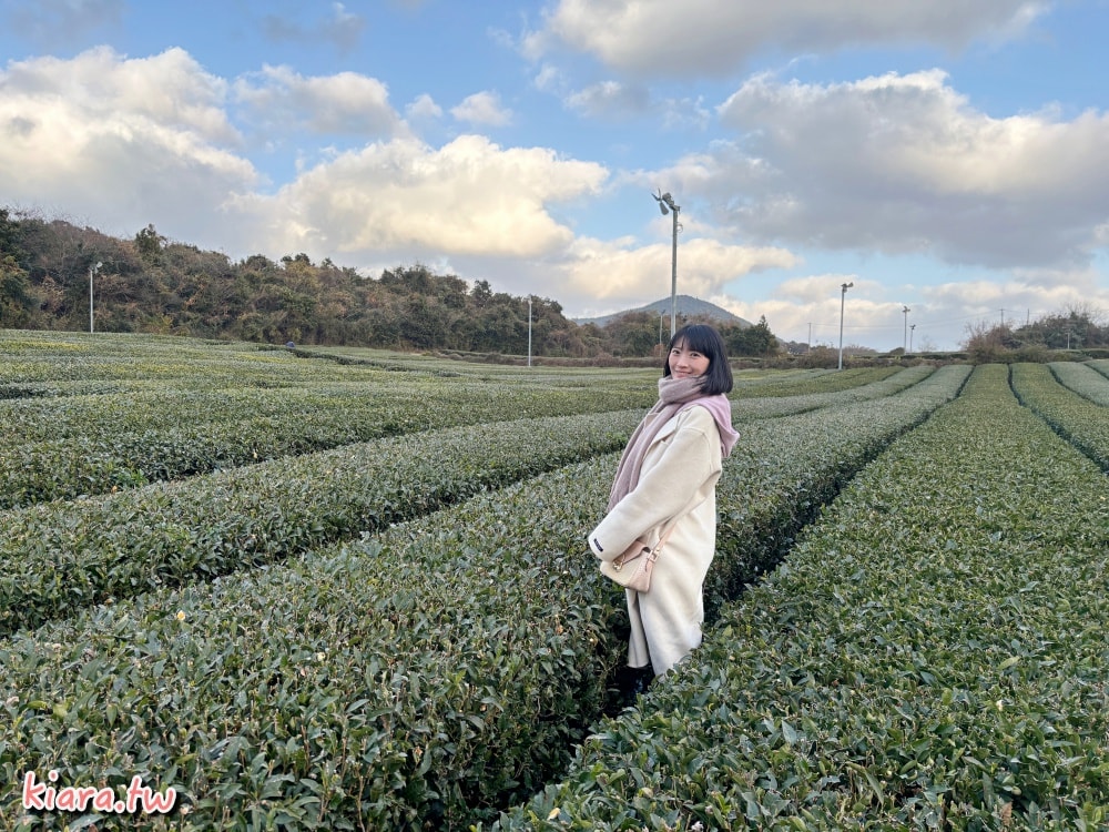 【濟州島必訪景點】Osulloc茶博物館|在茶香中品味生活美學,茶香的午後時光 - 第11張圖