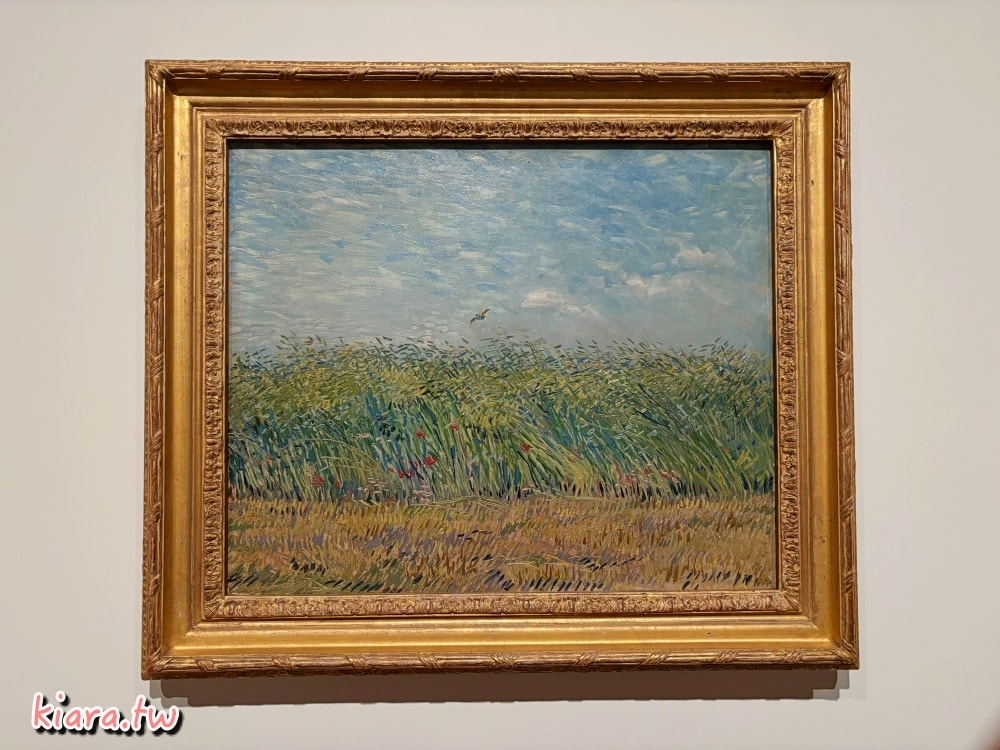 【荷蘭景點推薦】荷蘭自由行15大必遊景點，行程安排懶人包