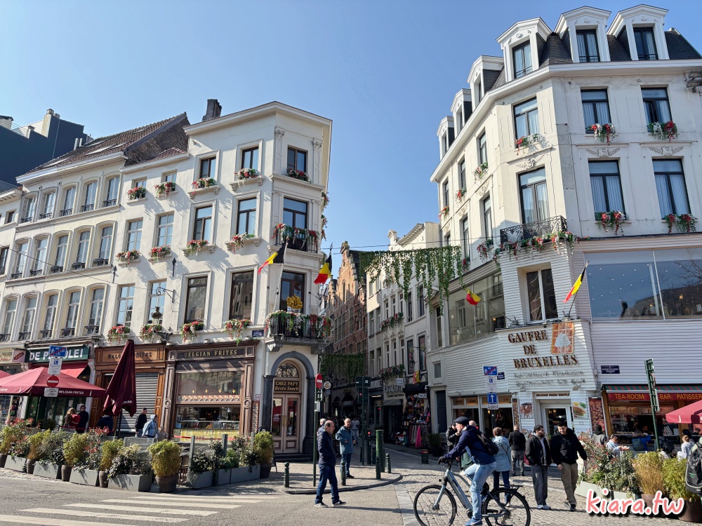 【布魯塞爾住宿推薦】Novotel Brussels Off Grand Place布魯塞爾大廣場諾富特飯店|地理位置超棒!飯店開箱 - 第1張圖