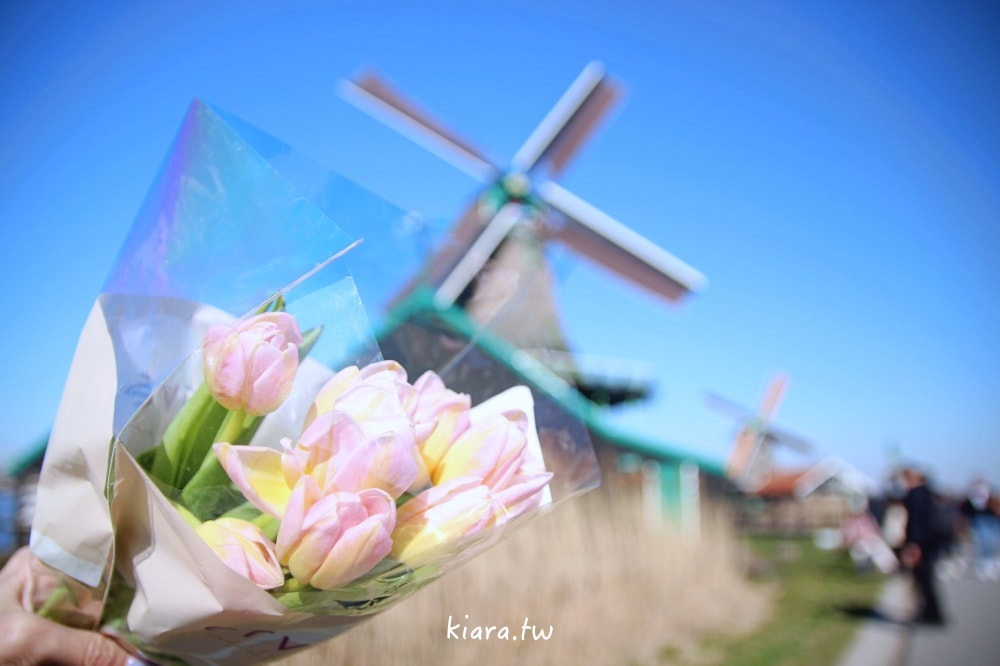 【荷蘭景點推薦】荷蘭自由行15大必遊景點，行程安排懶人包