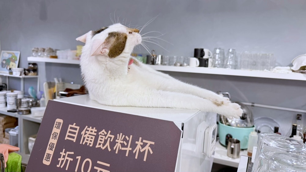 【台北咖啡廳推薦】珈啡部 Coffee & Co.｜隱身中山區的極簡工業風，必點「蝸牛毛巾卷」，寵物友善、不限時咖啡廳