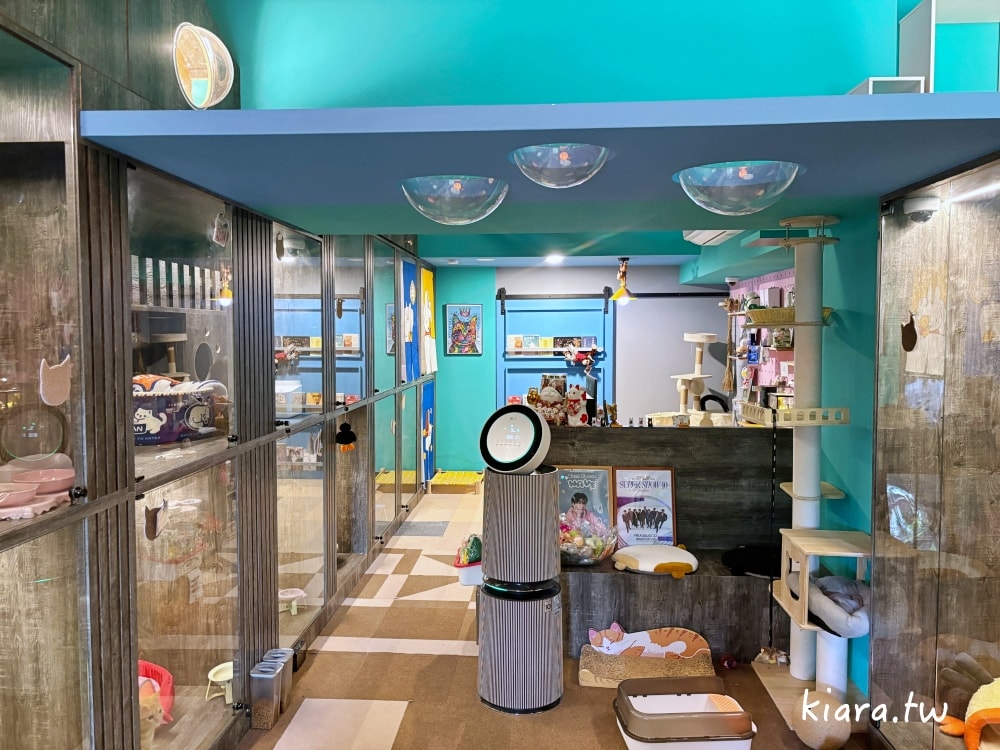 【台北/新北貓旅館推薦】MaAh喵品行旅開箱｜貓咪住宿的安心選擇