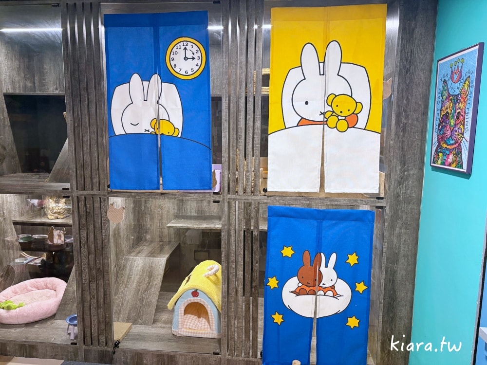 【台北/新北貓旅館推薦】MaAh喵品行旅開箱｜貓咪住宿的安心選擇