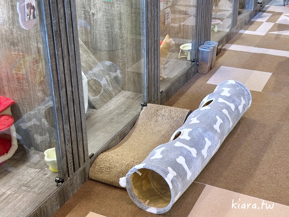 【台北/新北貓旅館推薦】MaAh喵品行旅開箱｜貓咪住宿的安心選擇