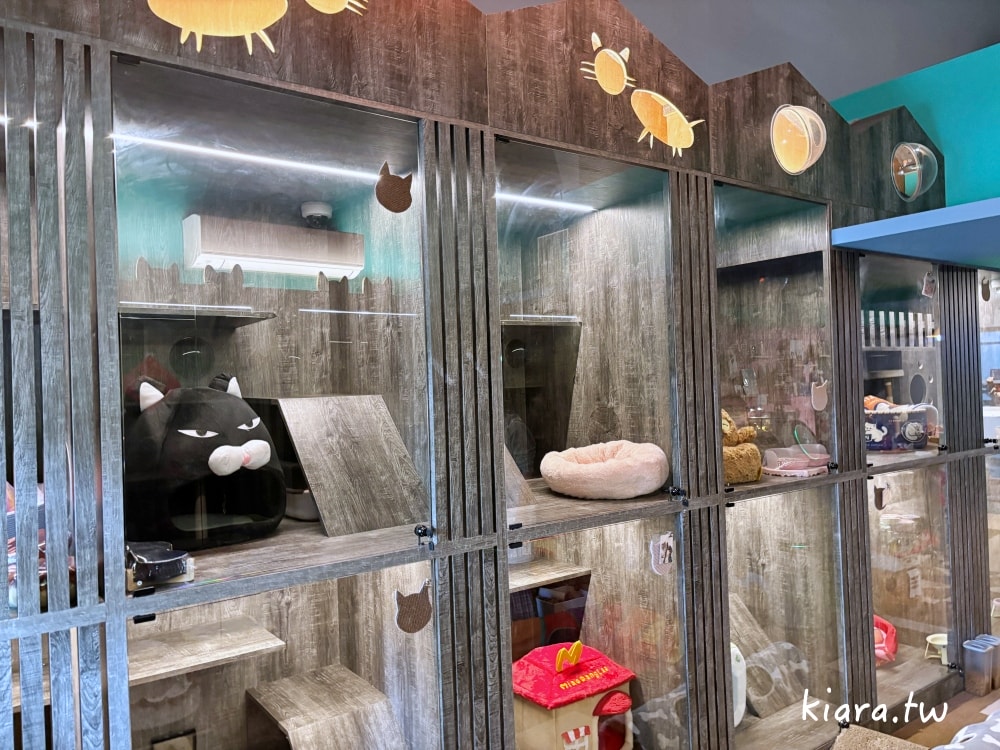 【台北/新北貓旅館推薦】MaAh喵品行旅開箱｜貓咪住宿的安心選擇