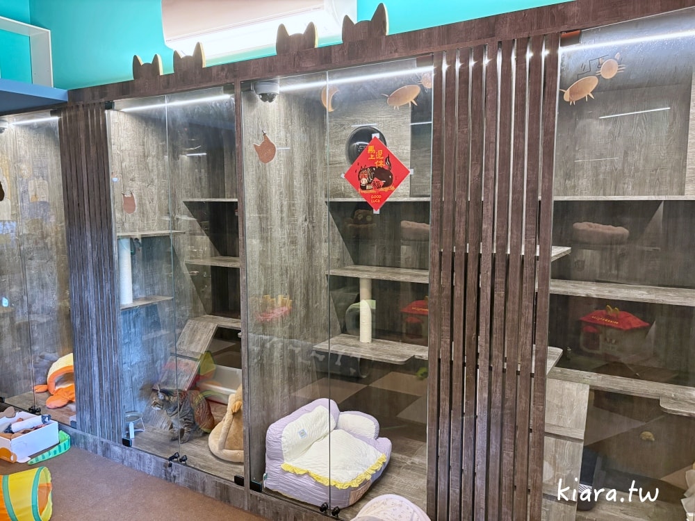 【台北/新北貓旅館推薦】MaAh喵品行旅開箱｜貓咪住宿的安心選擇