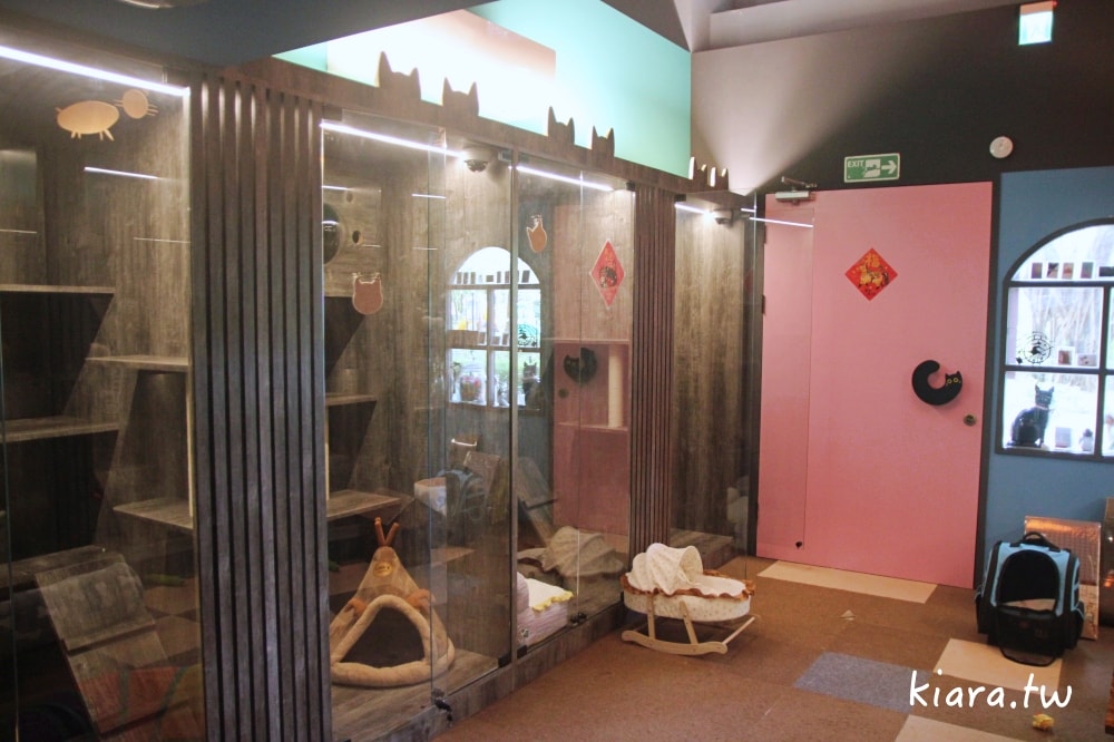 【台北/新北貓旅館推薦】MaAh喵品行旅開箱｜貓咪住宿的安心選擇