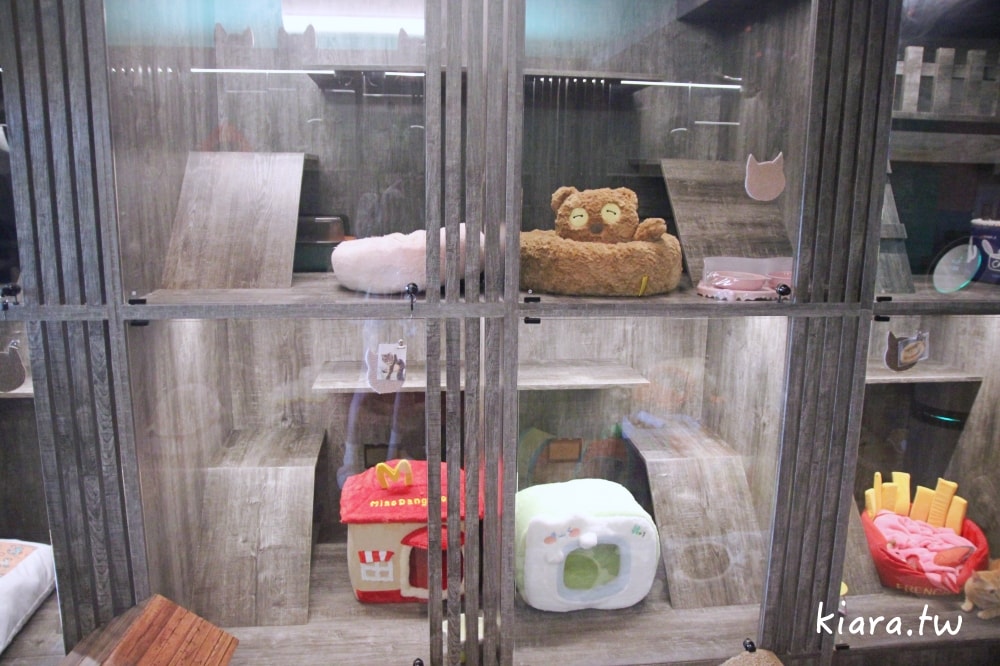 【台北/新北貓旅館推薦】MaAh喵品行旅開箱｜貓咪住宿的安心選擇