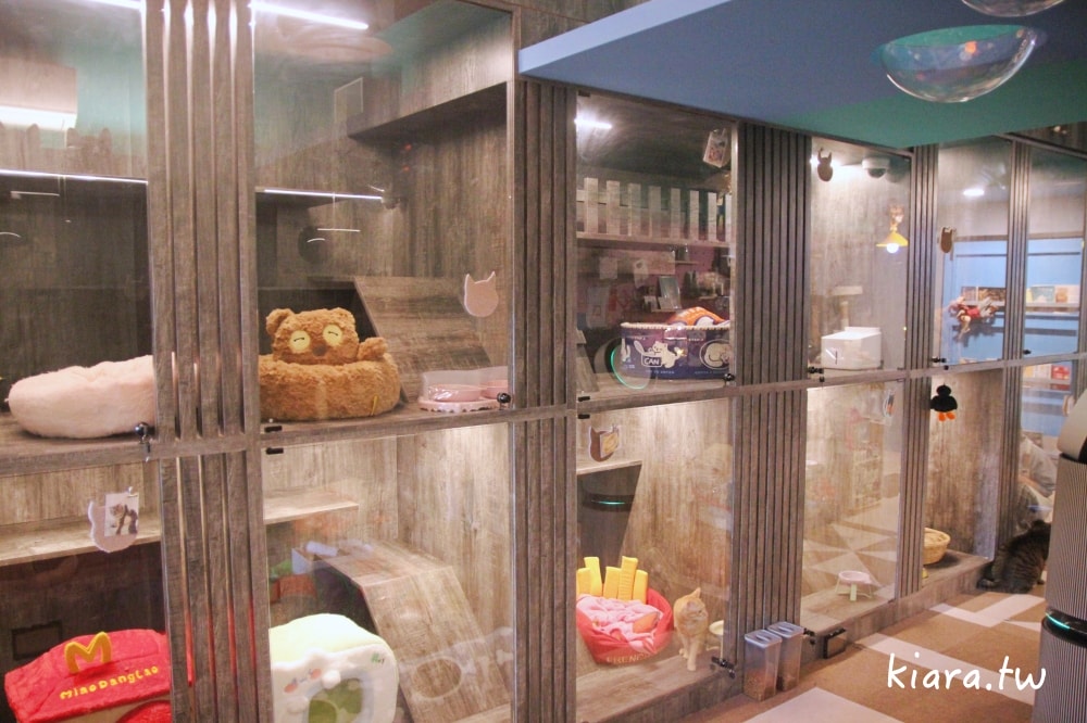 【台北/新北貓旅館推薦】MaAh喵品行旅開箱｜貓咪住宿的安心選擇