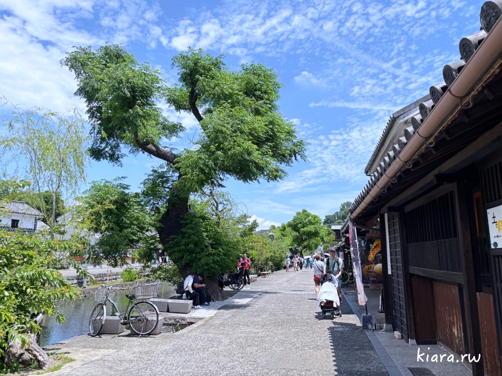 【2026倉敷攻略】倉敷美觀地區漫步優惠券教學：4大必換店家推薦！餐廳、咖啡廳、伴手禮都能省！