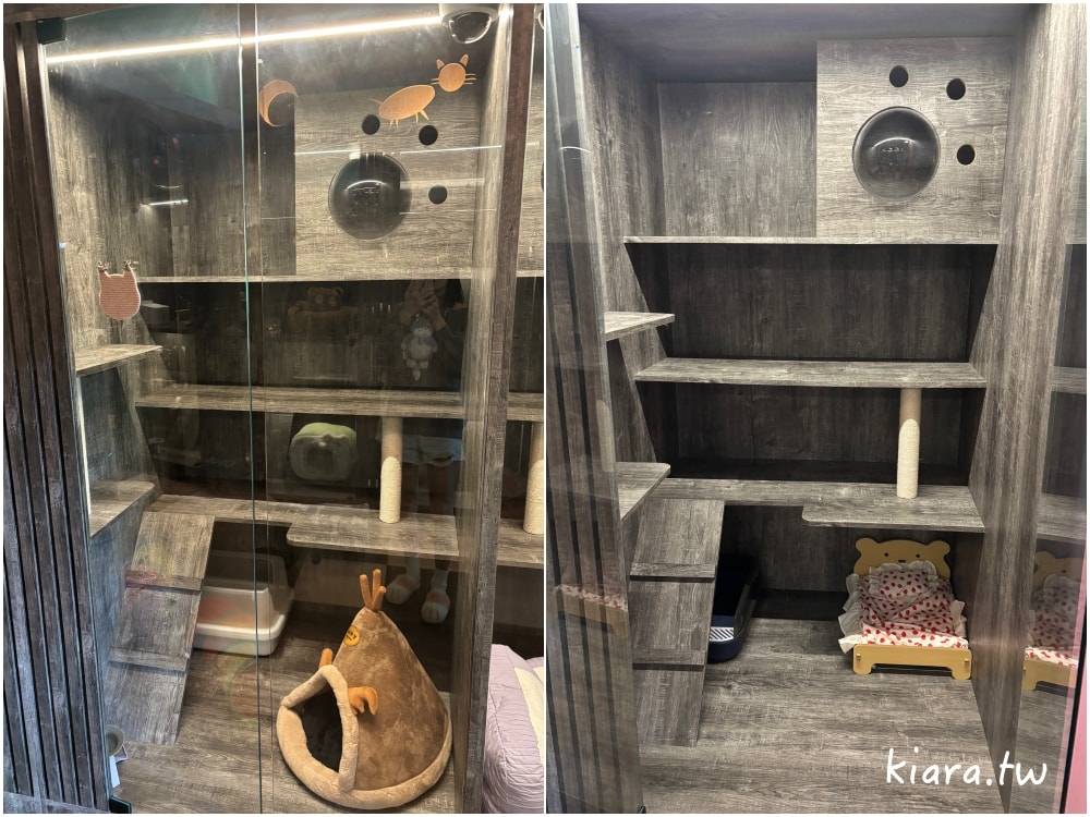 【台北/新北貓旅館推薦】MaAh喵品行旅開箱｜貓咪住宿的安心選擇