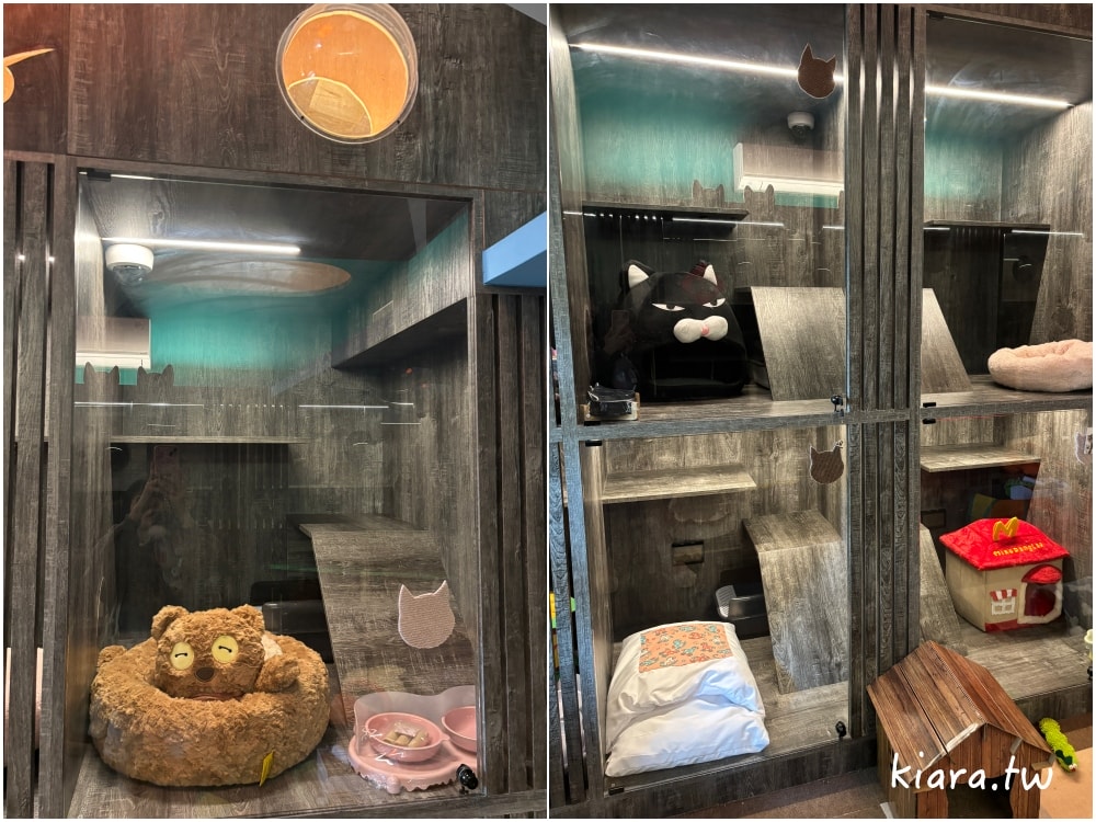 【台北/新北貓旅館推薦】MaAh喵品行旅開箱｜貓咪住宿的安心選擇